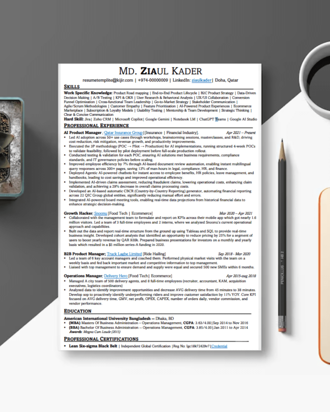 Resume Template for Global Jobs